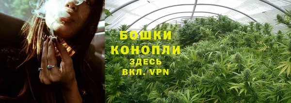бошки Нефтекумск