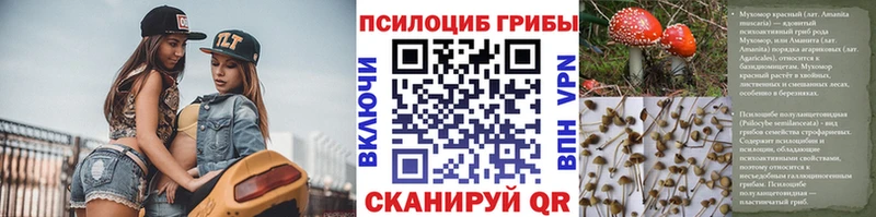 Псилоцибиновые грибы мицелий  Белоозёрский 